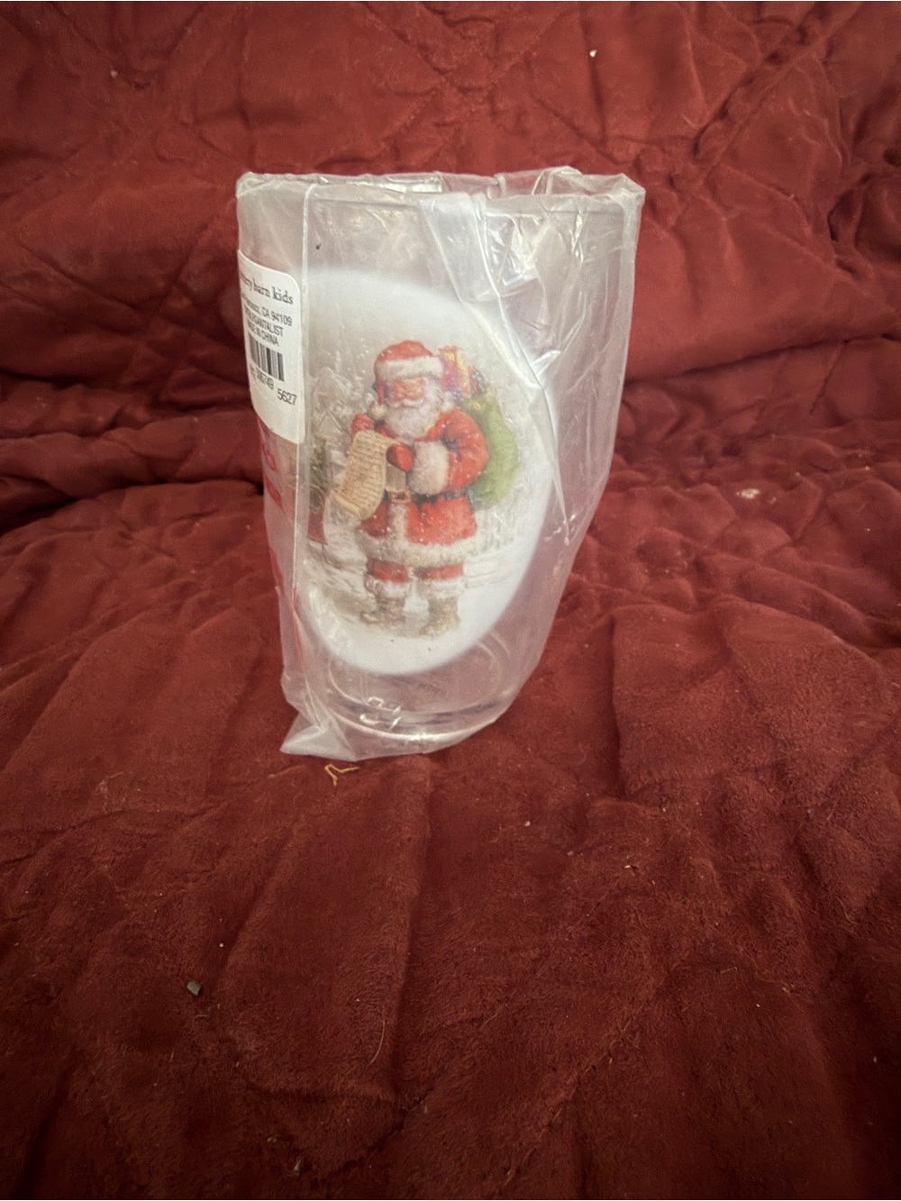 Pottery Barn Kids Frosted plastic cup